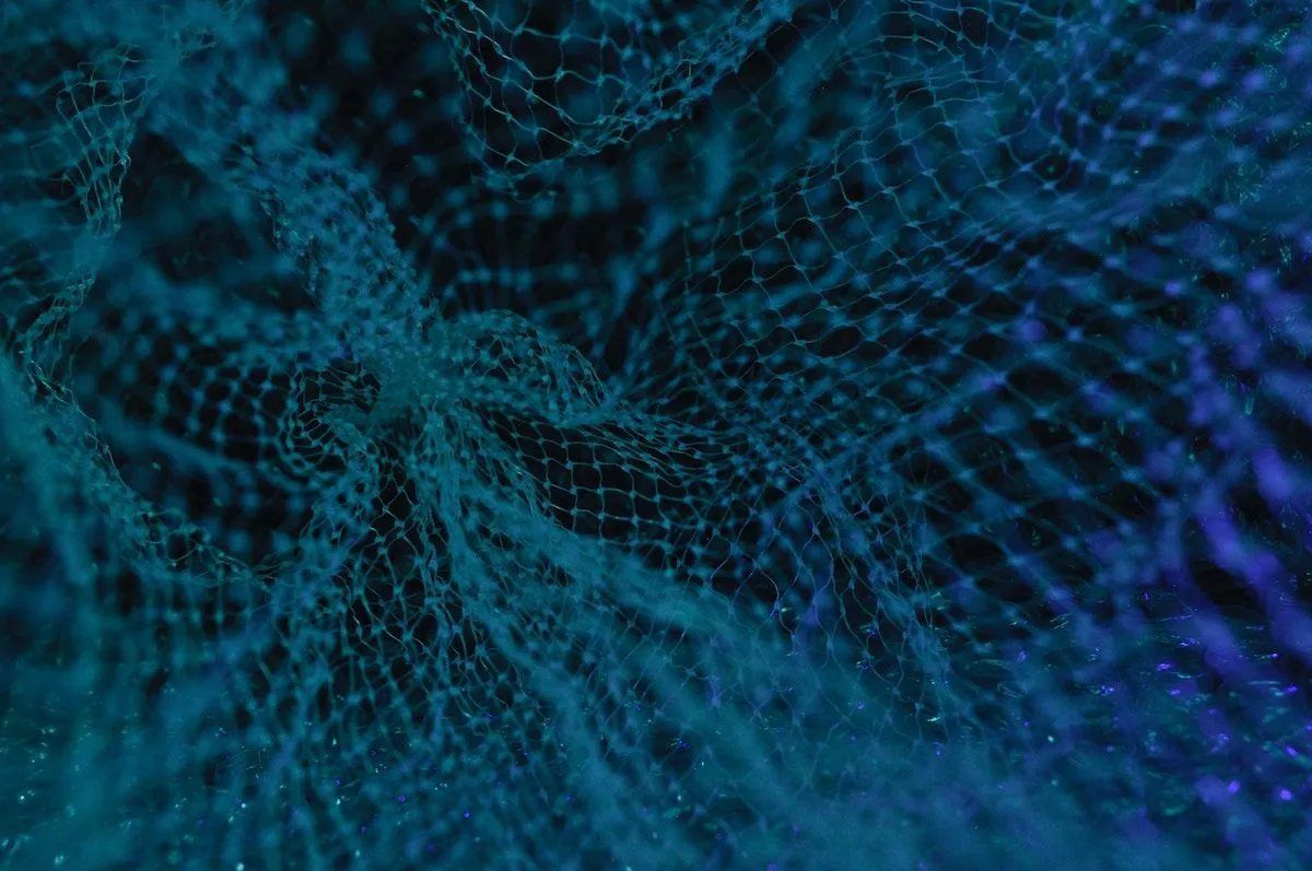 Mesh