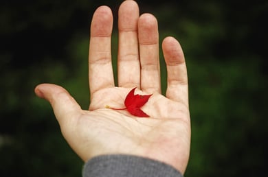 Reduce everything! Explaining the Reduce function