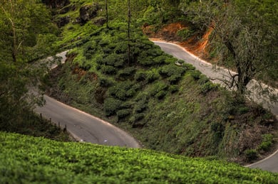 Road